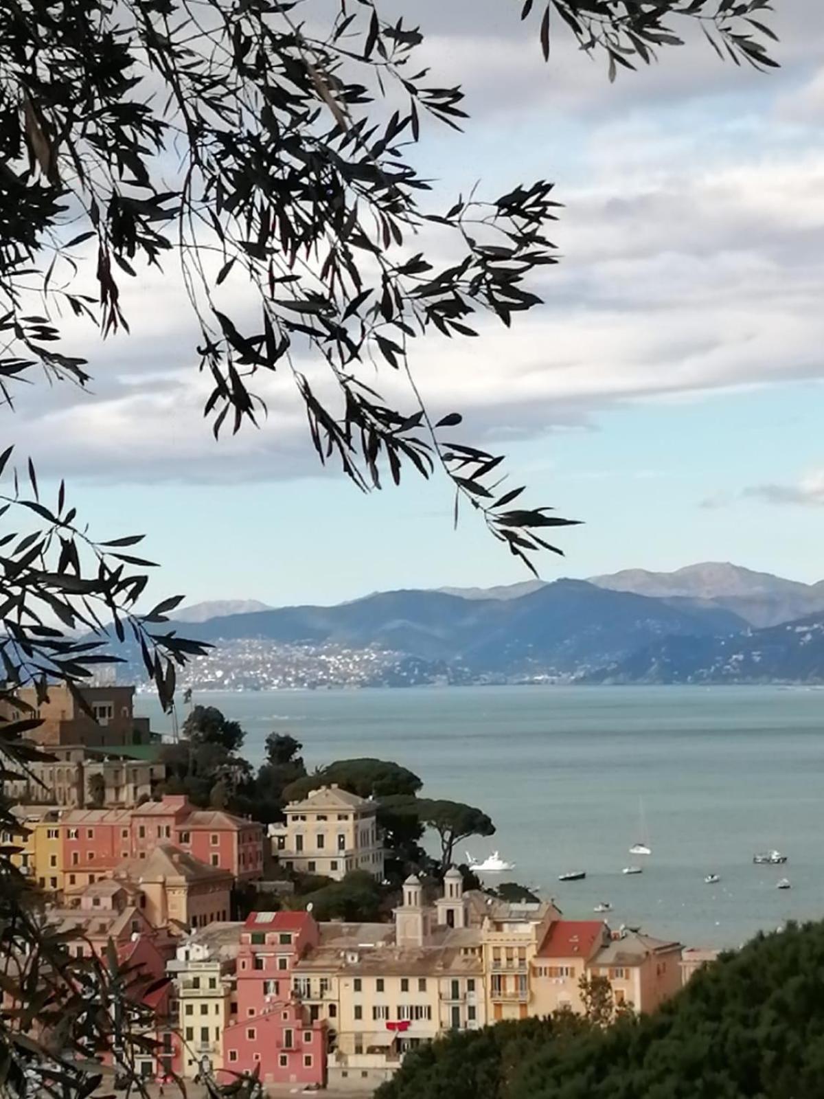 Silent Bay Apartments Sestri Levante Exterior photo